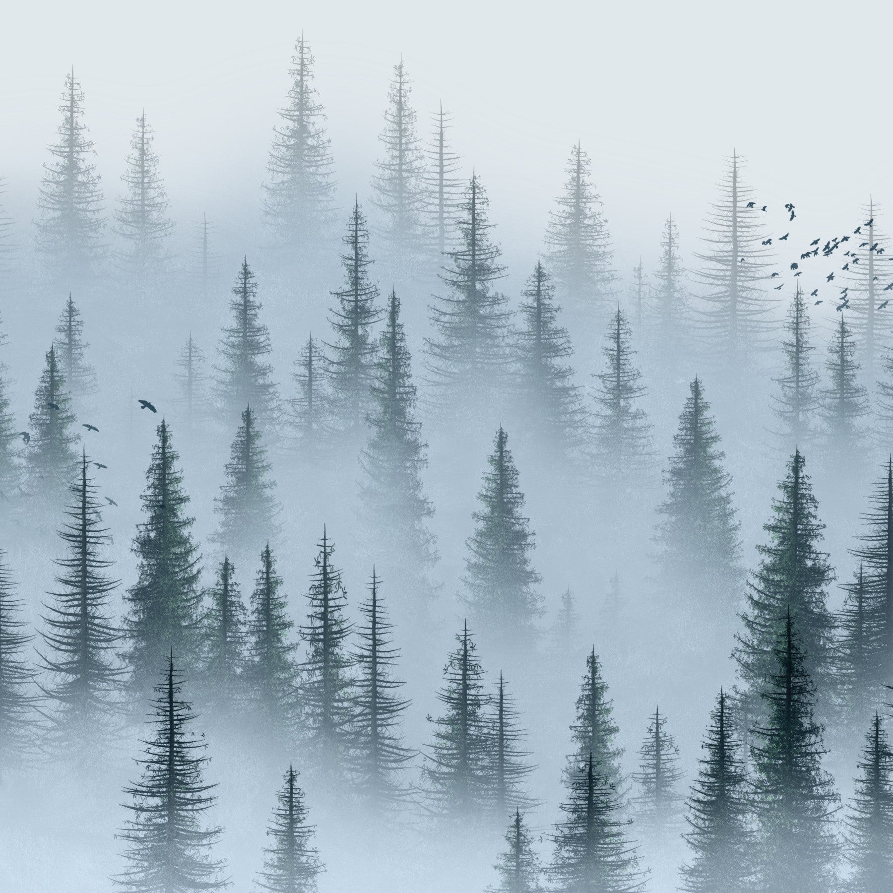 Nature-inspired wall mural of foggy woods