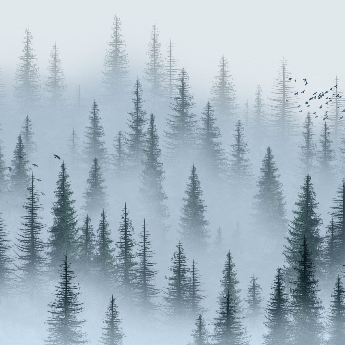 Misty Woods Wallpaper