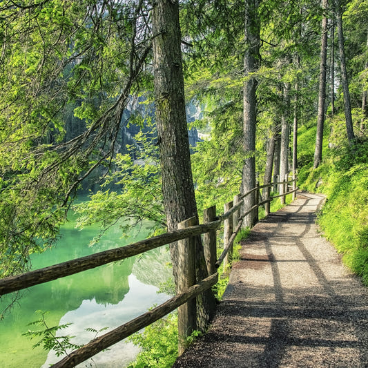 Emerald Lake Path Wall Mural