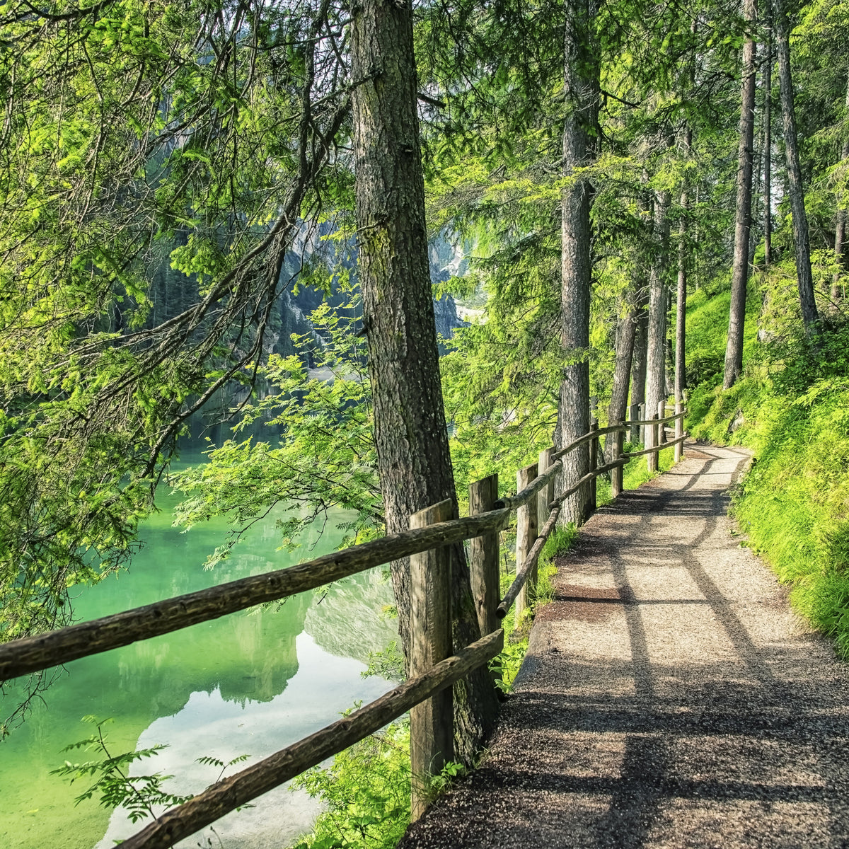 Emerald Lake Path Wall Mural