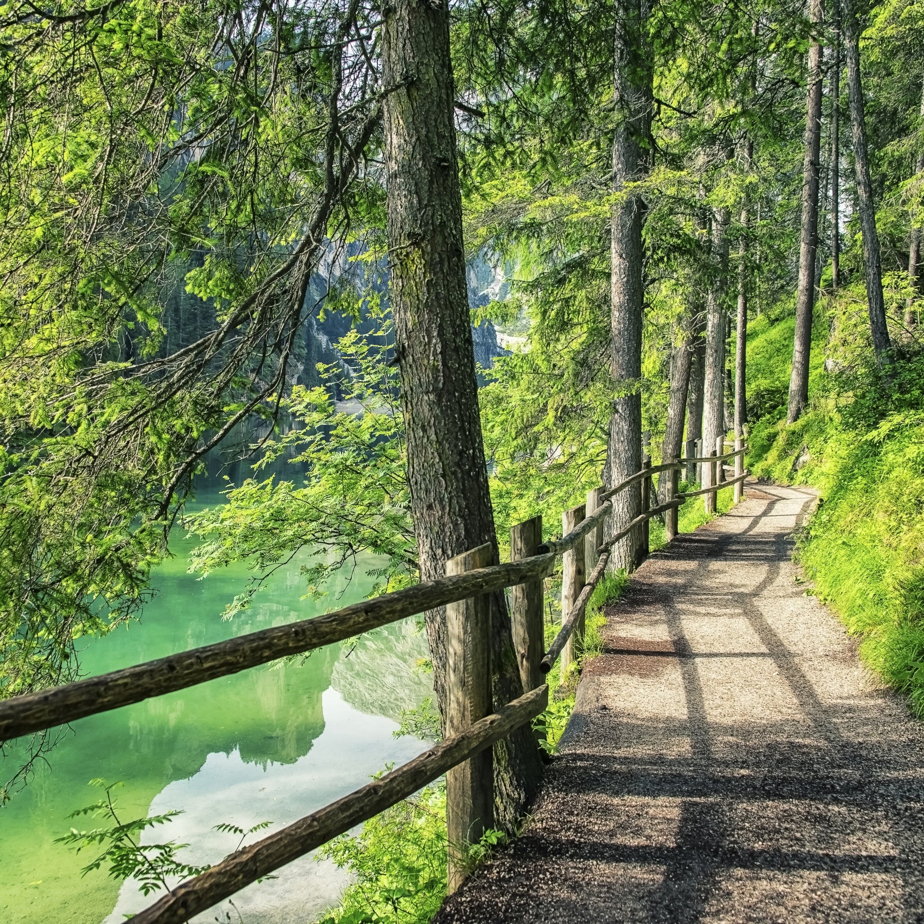 Emerald Lake Path Wall Mural in your room — zoomed