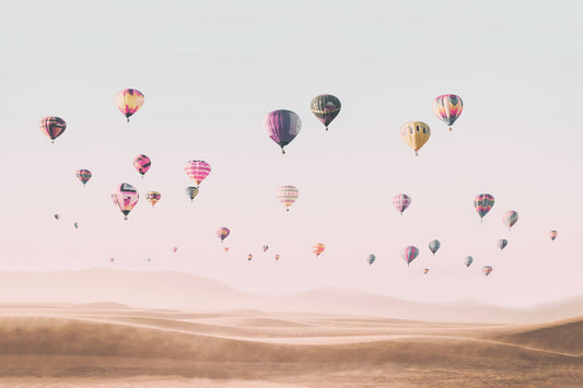 Air Balloons Wall Mural
