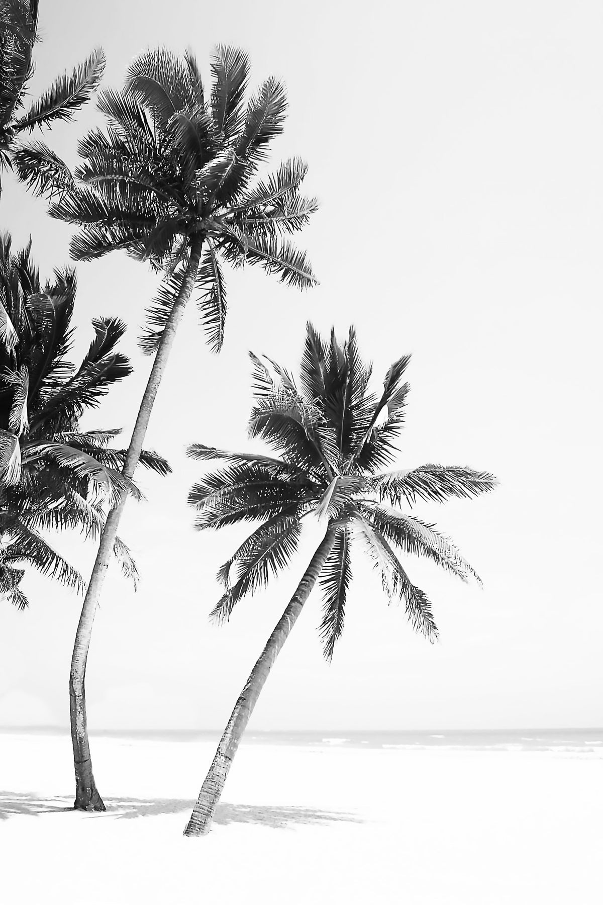 Island Wall Mural in your room — zoomed