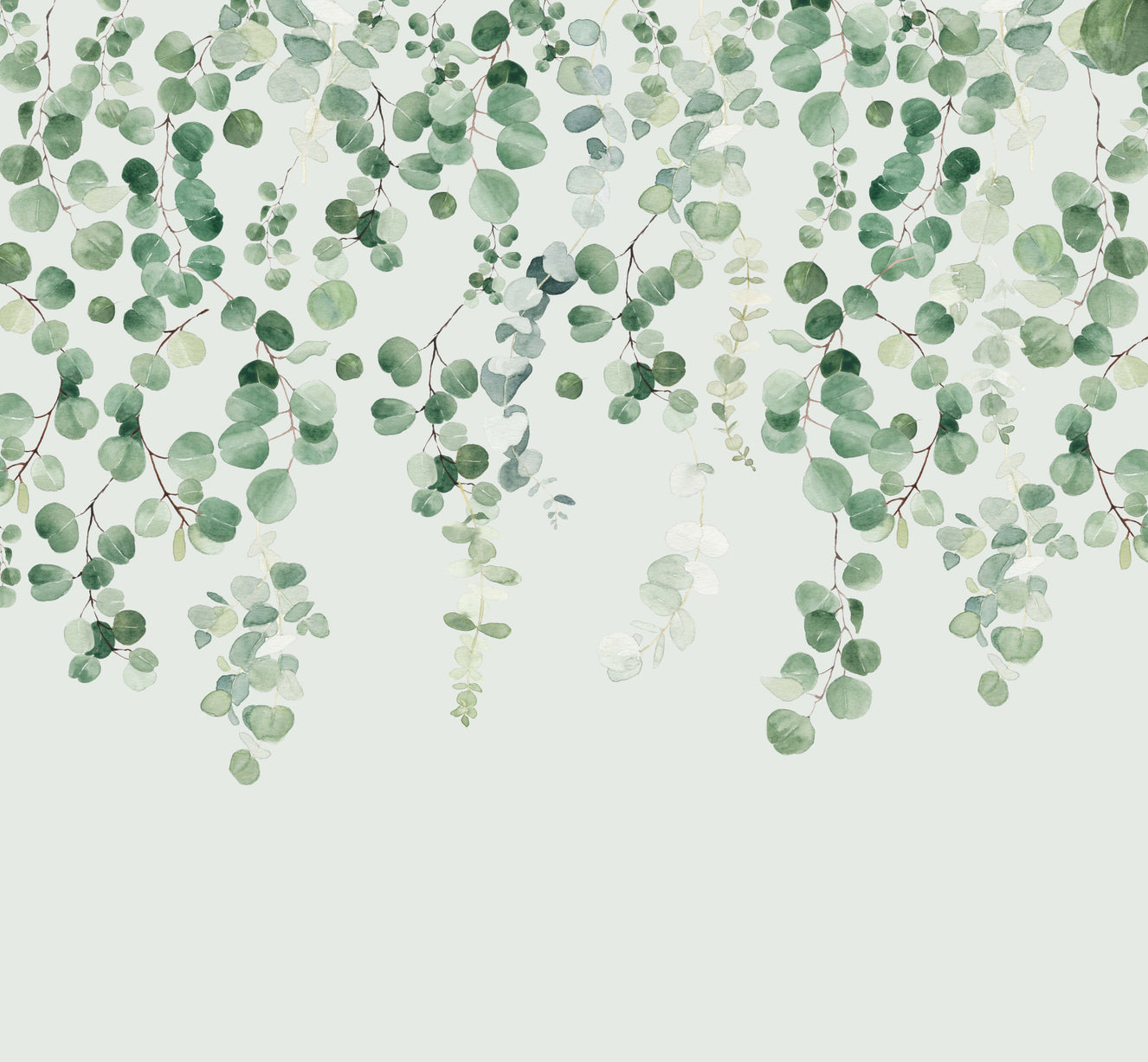 Eucalyptus Wall Mural
