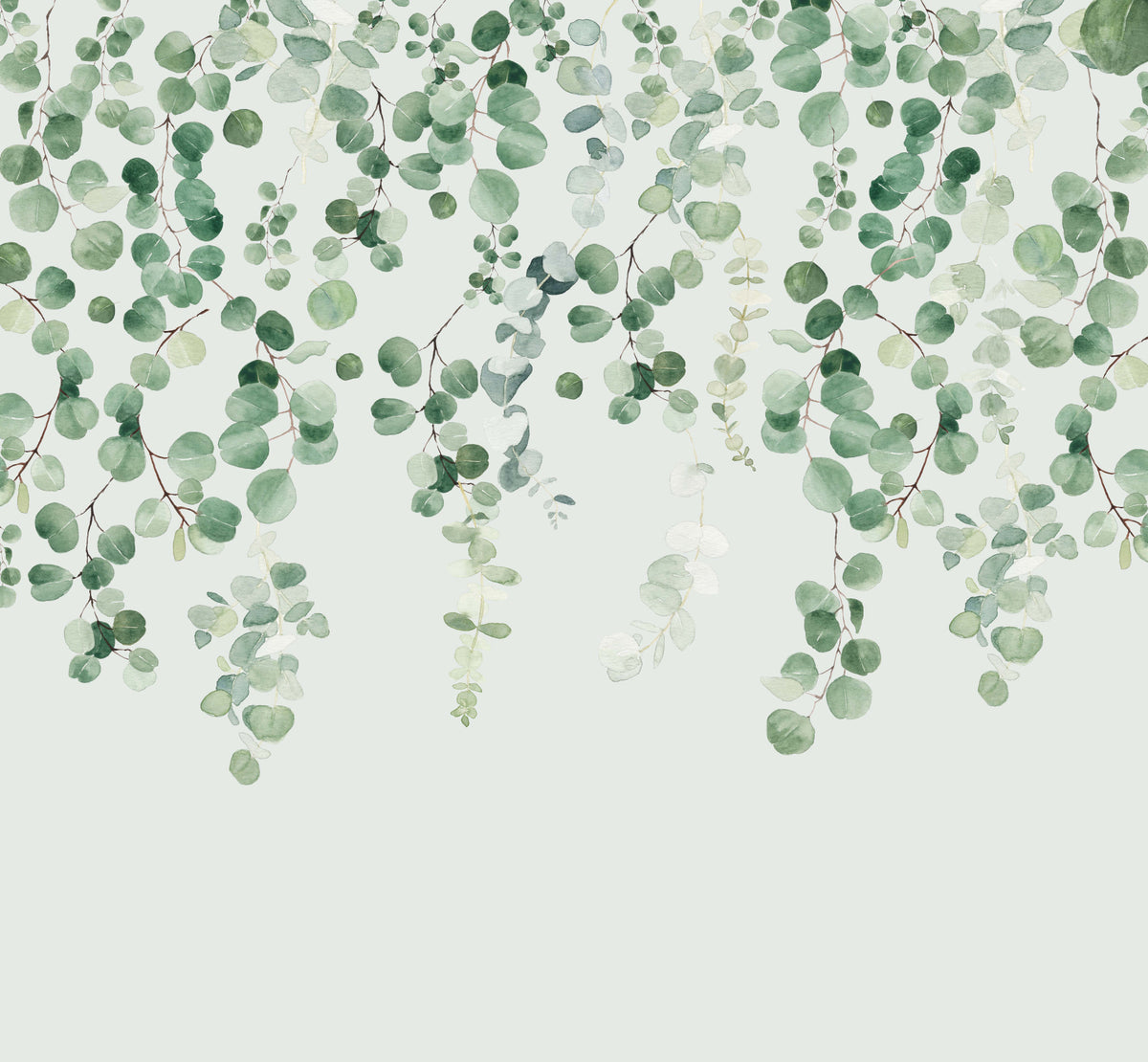Eucalyptus Wall Mural