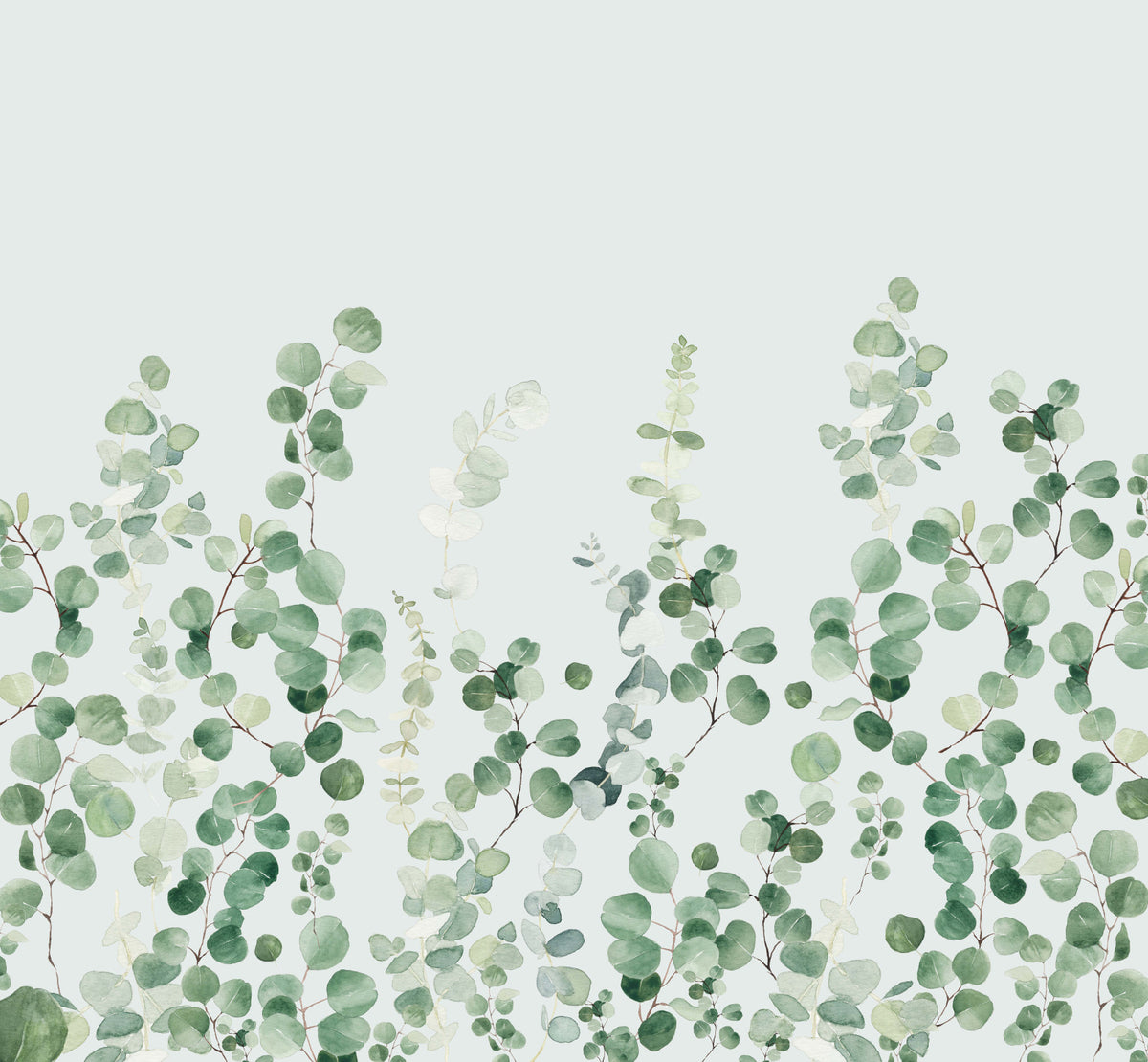 Eucalyptus Wall Mural in your room — zoomed