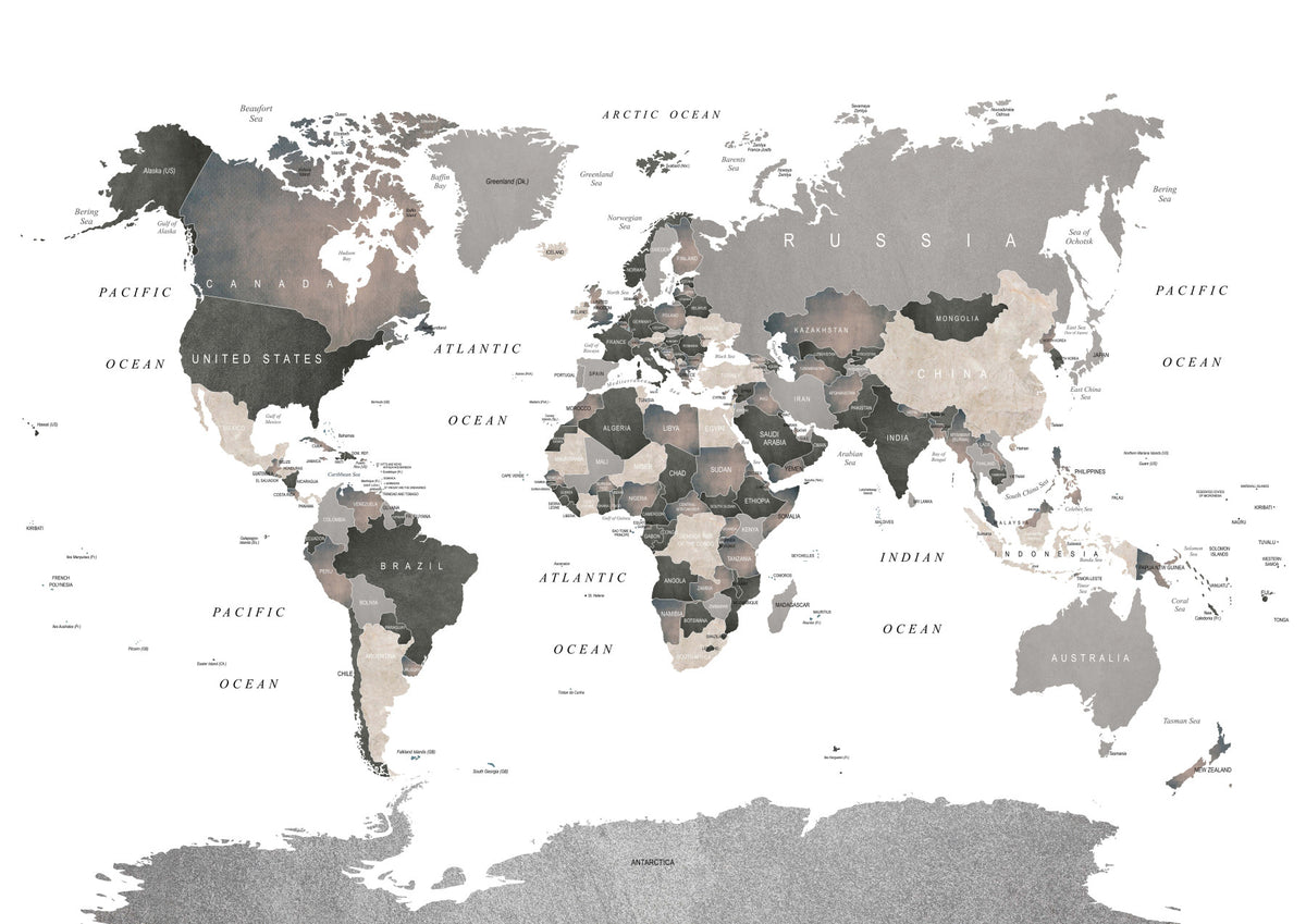 Map of the World Muted Tones Wall Mural in your room
