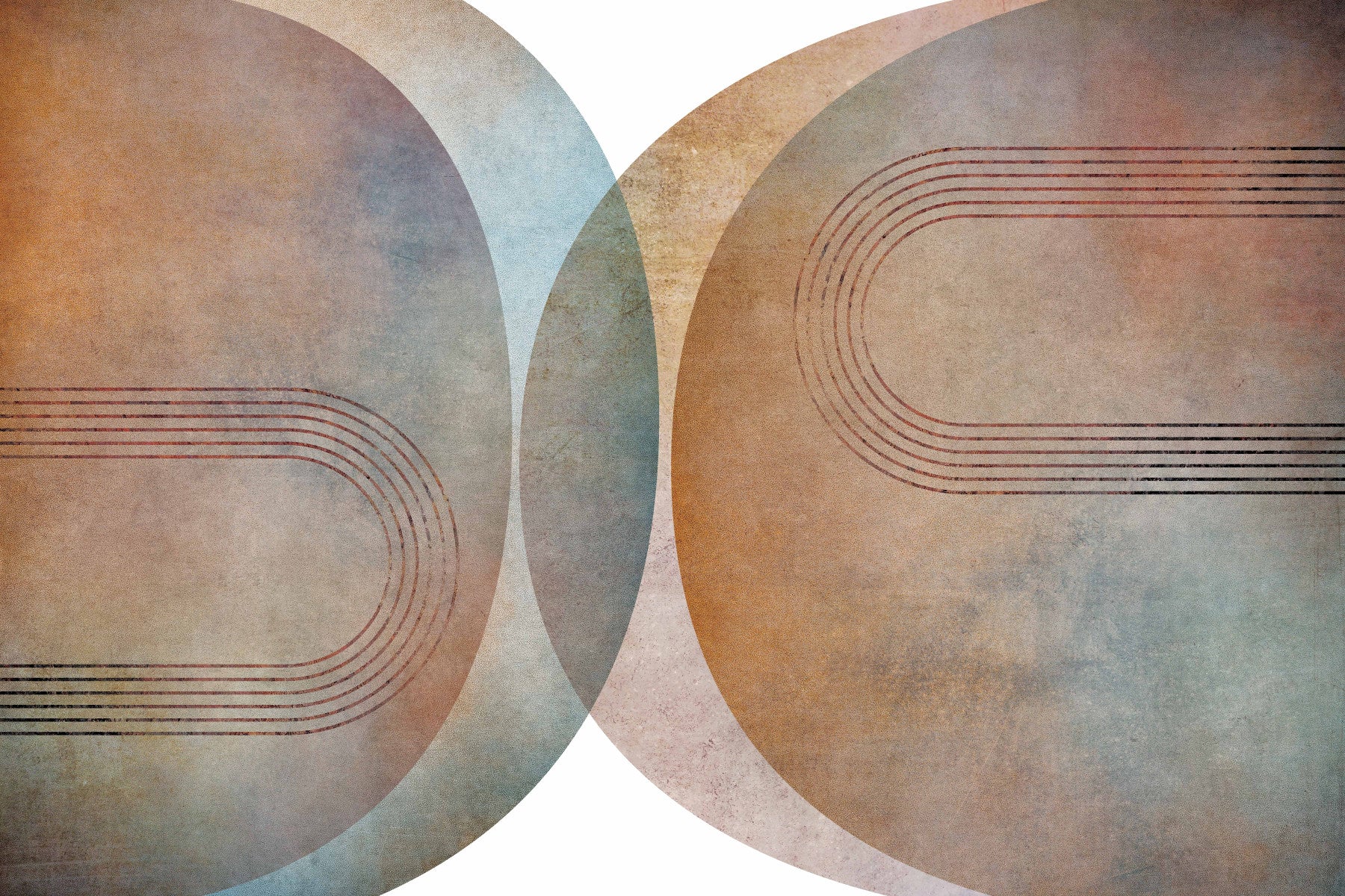Modern Mid Century Curves Wall Mural