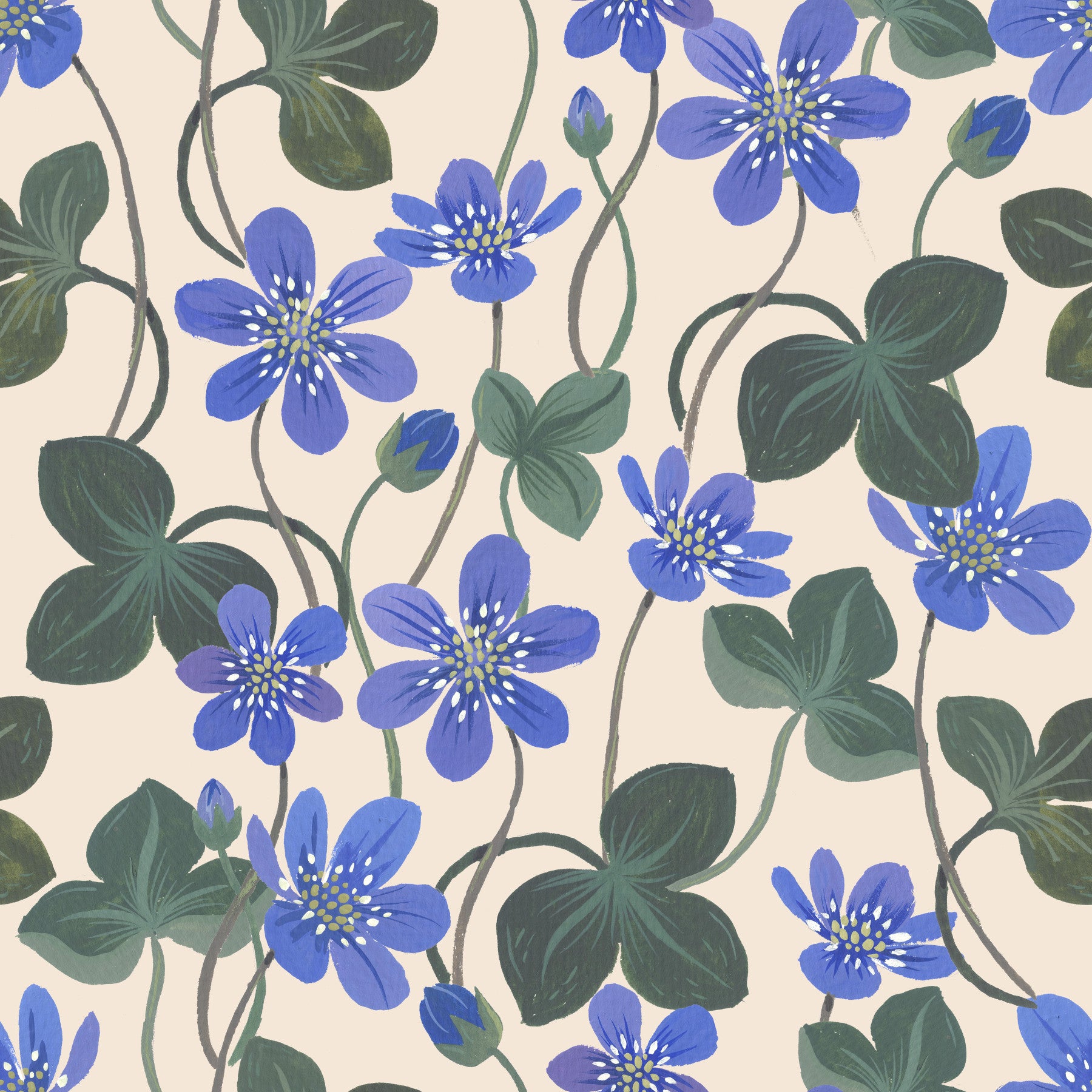 Blue Anemone White Wallpaper⁠