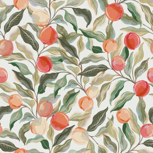 Peaches  Painterly Cherries Wallpaper⁠