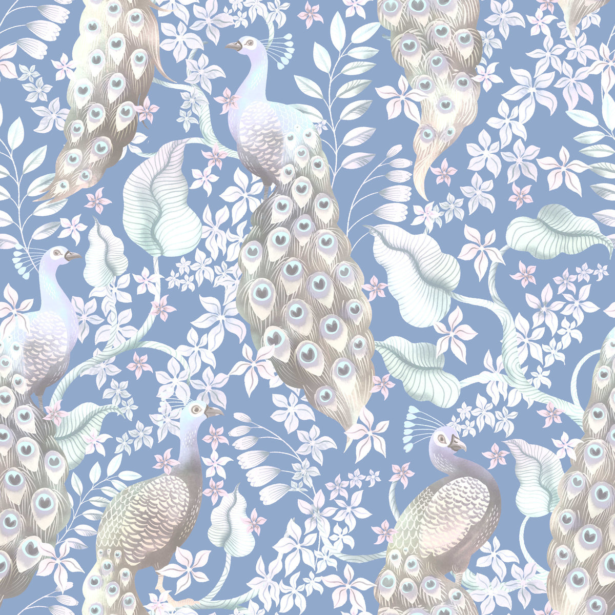 Dove Blue Peacock Paradise Wallpaper⁠ in your room
