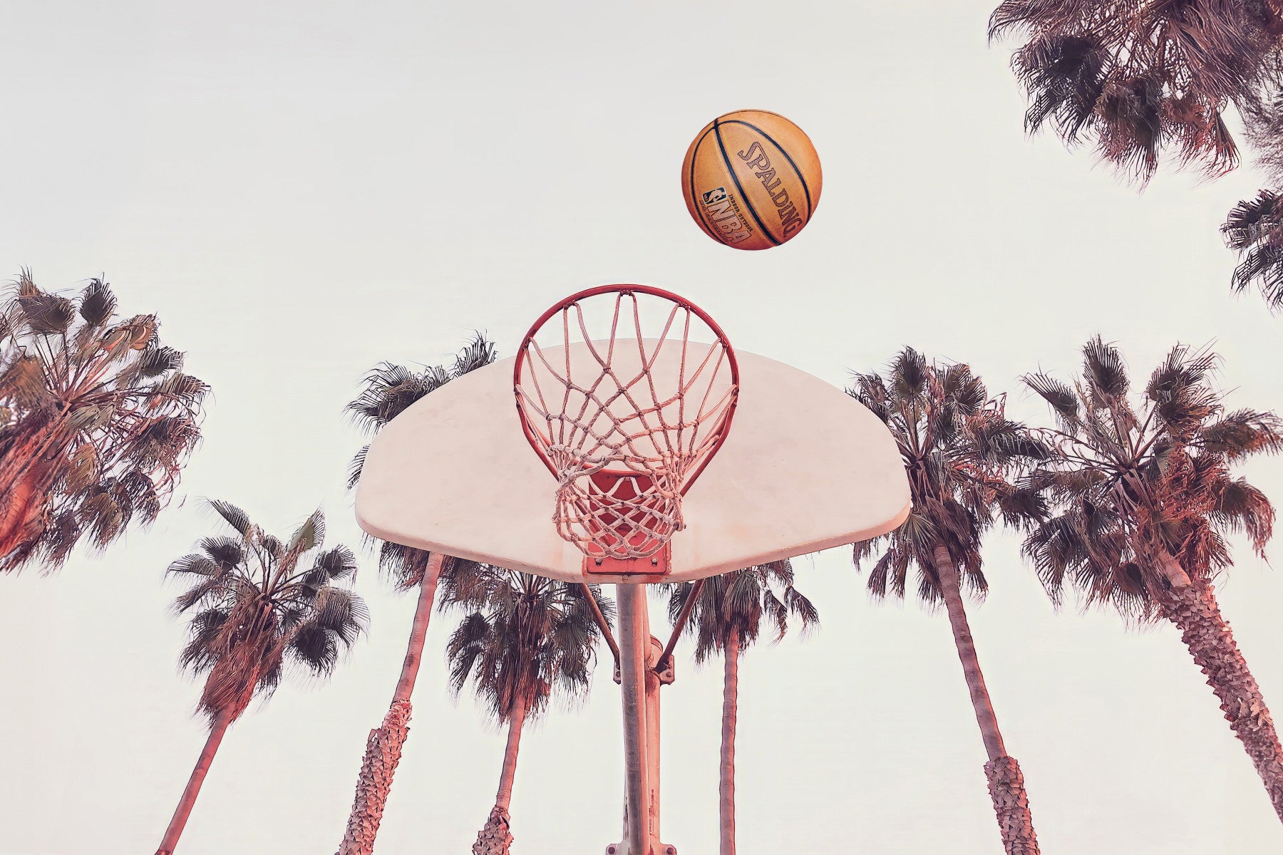 Basketball Wall Mural in your room — zoomed