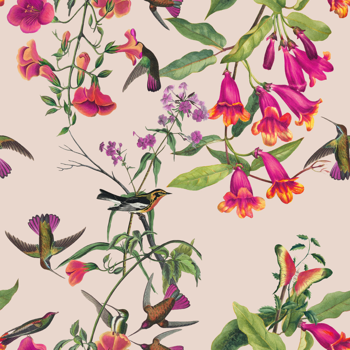 Tropical Hummingbird Rhapsody Wallpaper⁠ in your room — zoomed