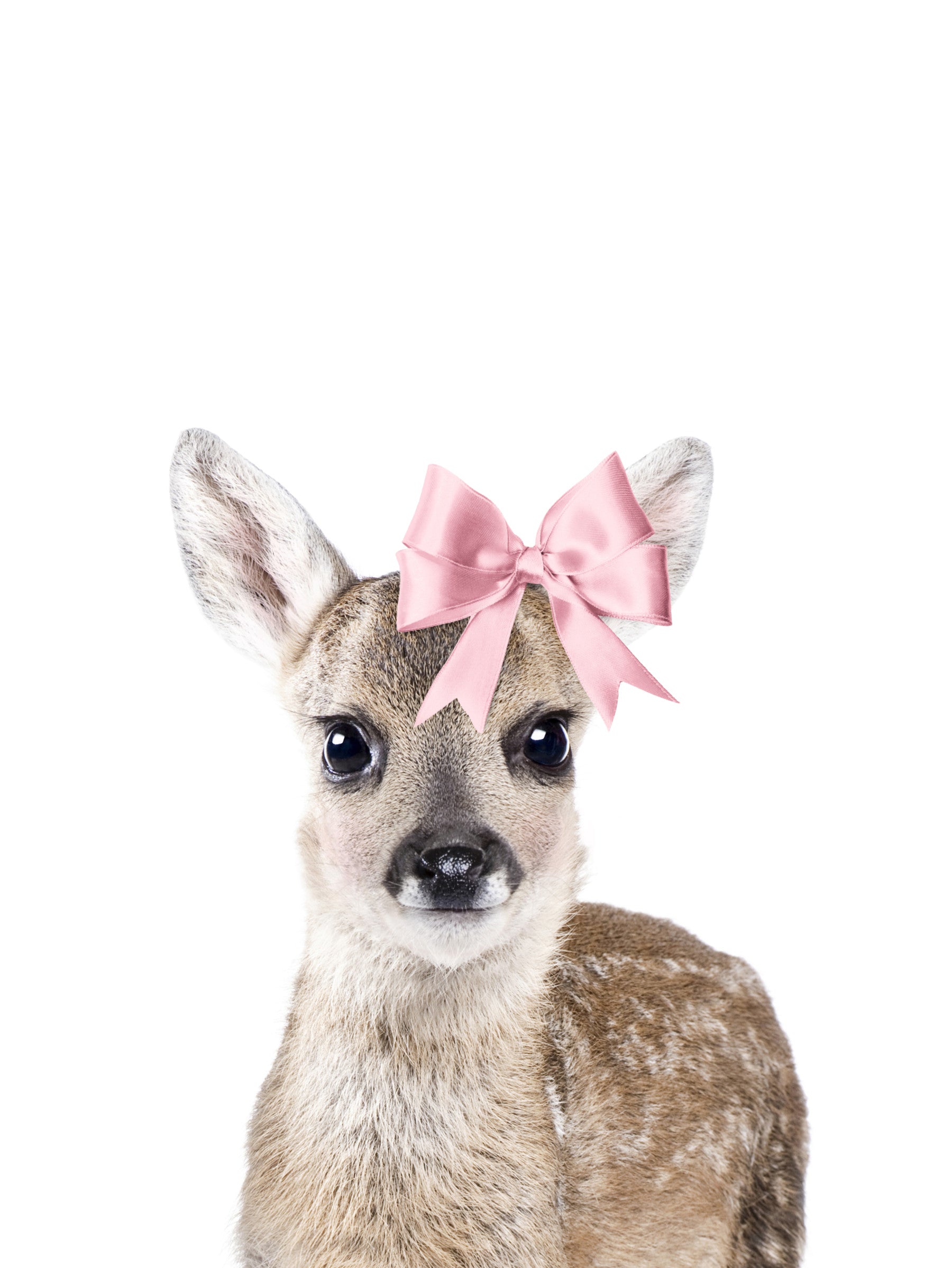 Baby Deer Wall Mural