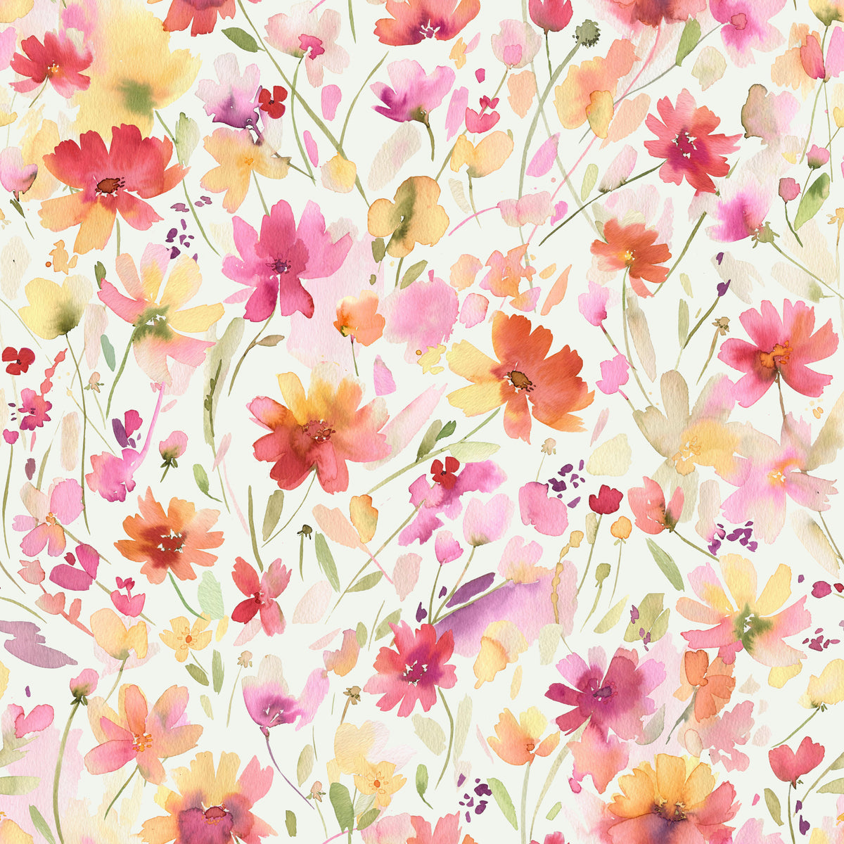Cosmos Wildflowers Nature Summer Wallpaper⁠ in your room — zoomed