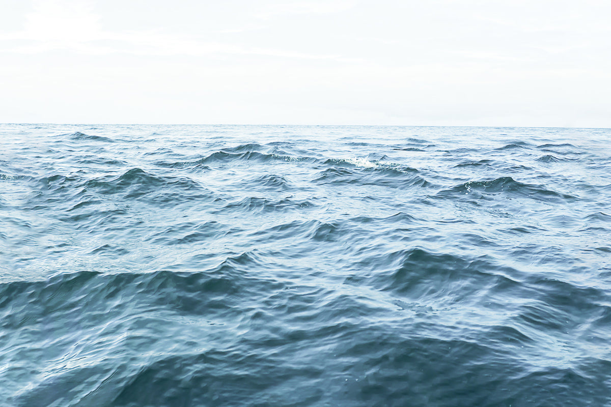 Ocean Serenity Wall Mural in your room — zoomed