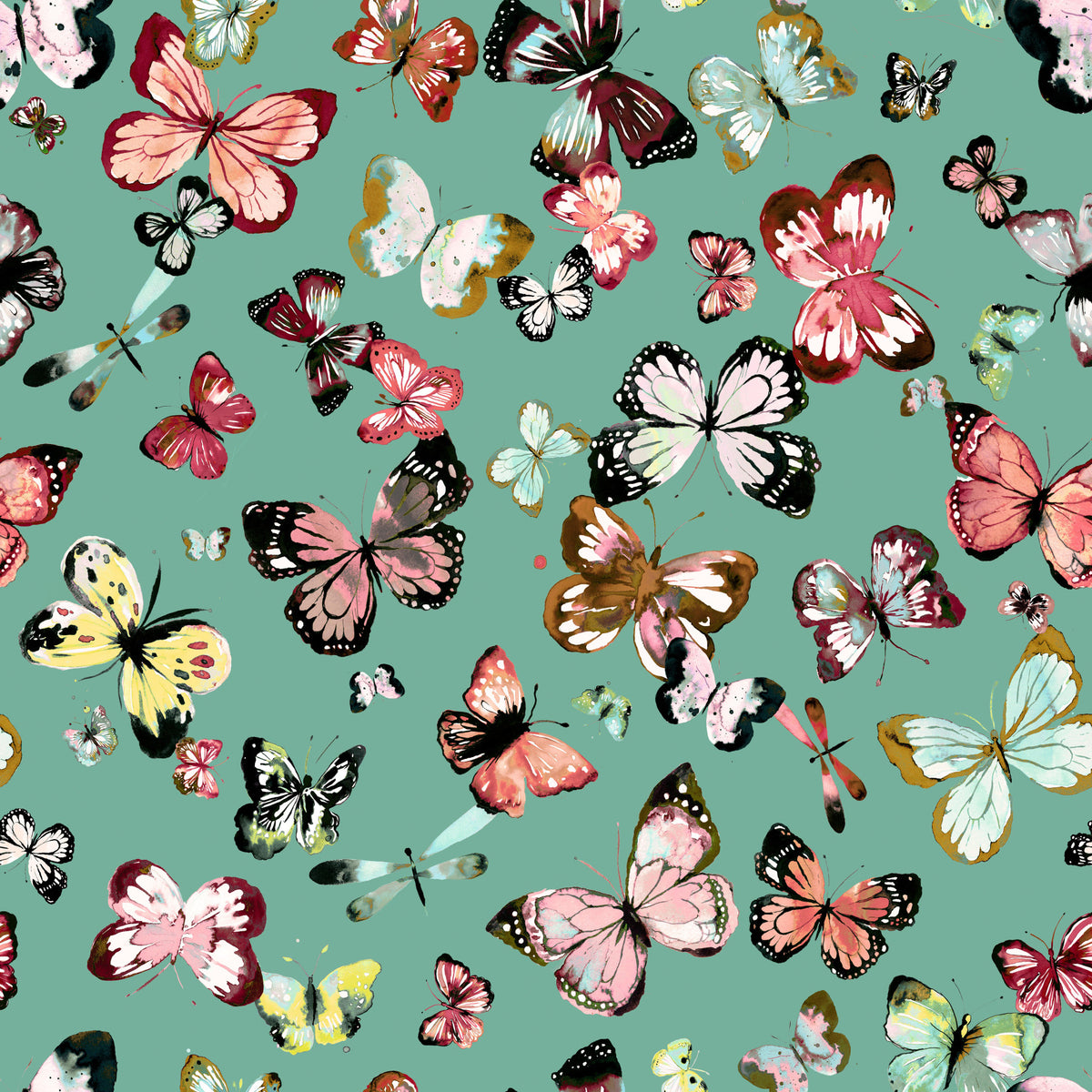 Flying Butterflies Colorful Teal Coral Wallpaper⁠ in your room