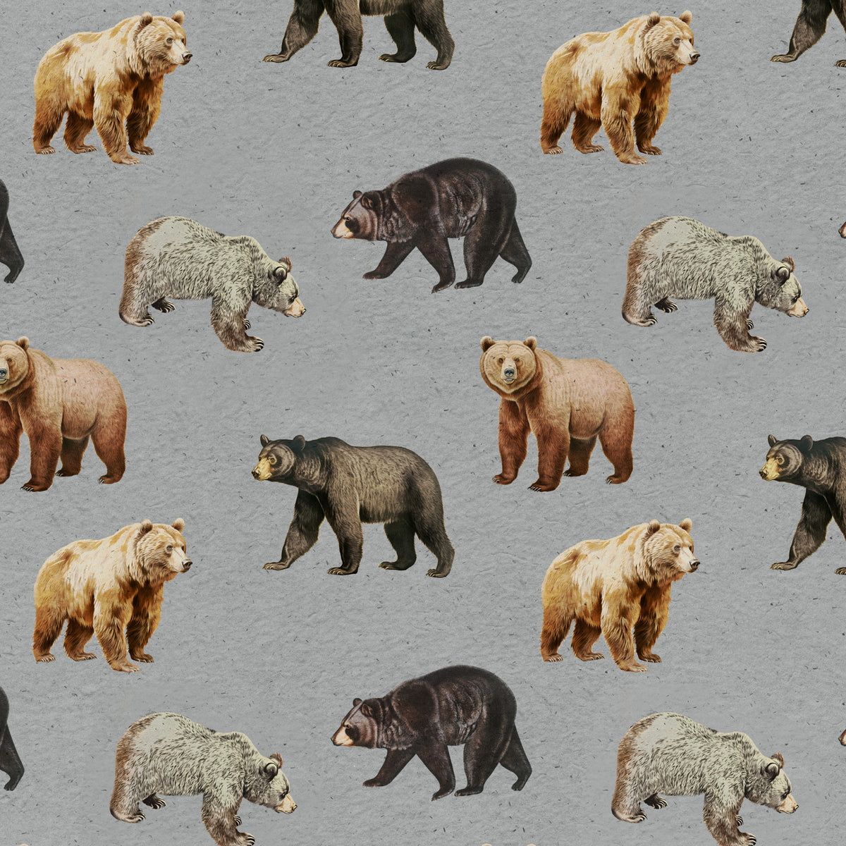 Forest Bears Wall Mural in your room — zoomed