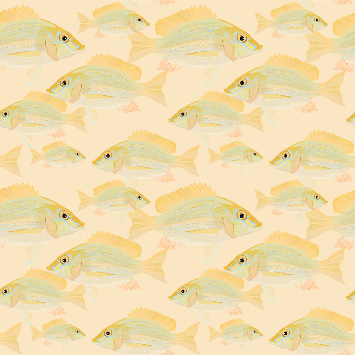 Sand Bream - The Fish Wall Mural in your room