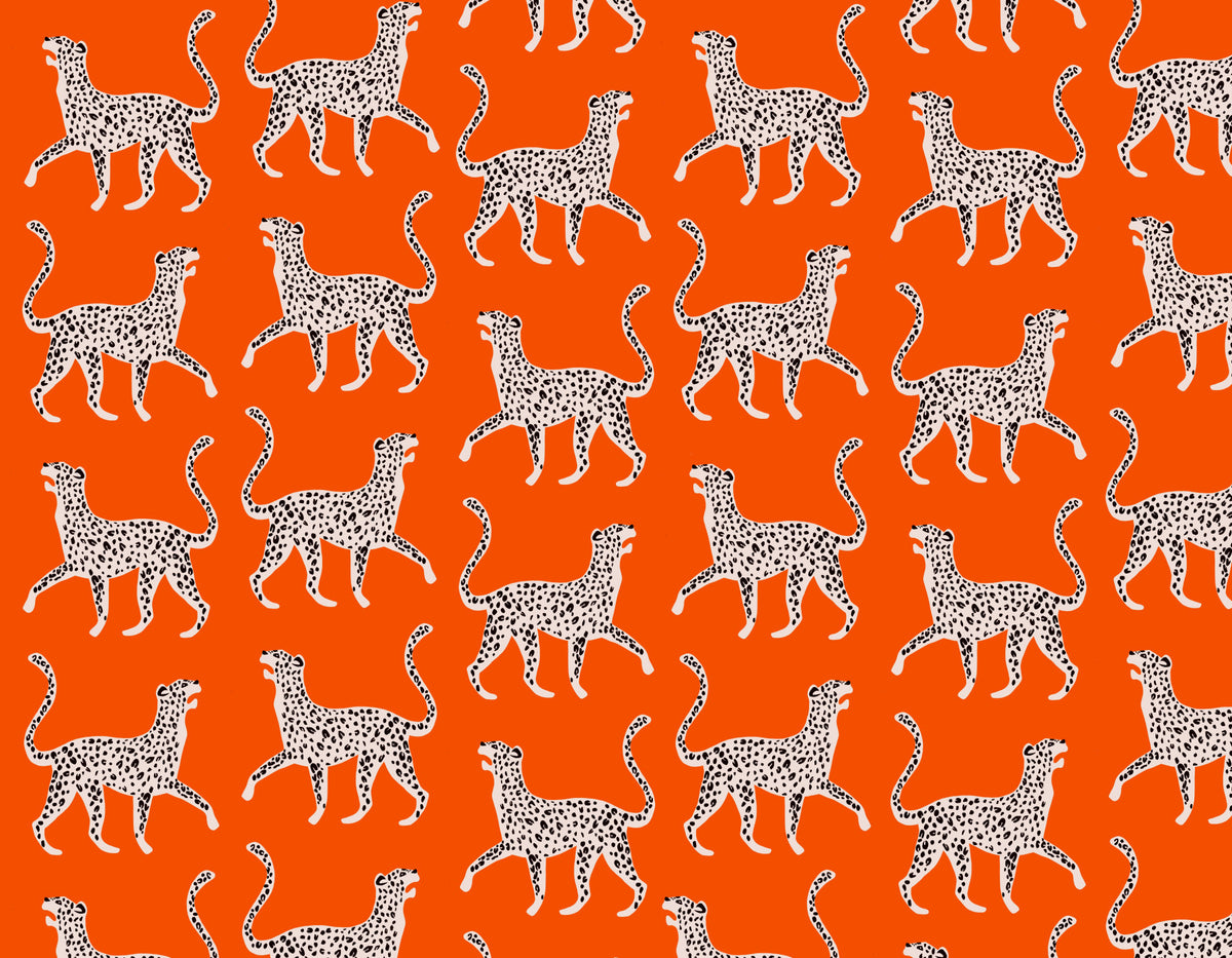 Cheetah Chich Wall Mural in your room — zoomed