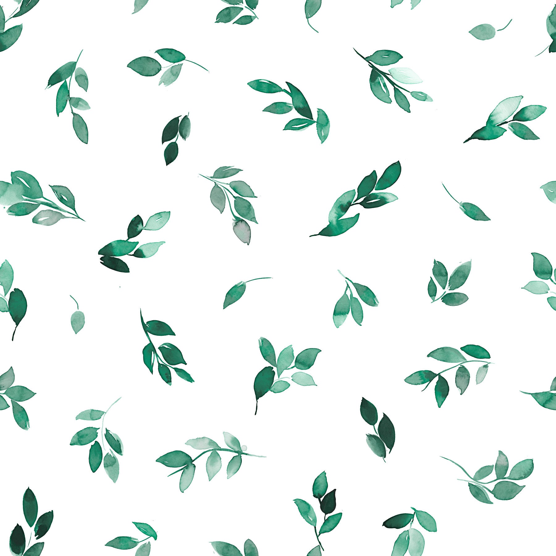 Minimal Leaf Green Eucalyptus Wallpaper⁠