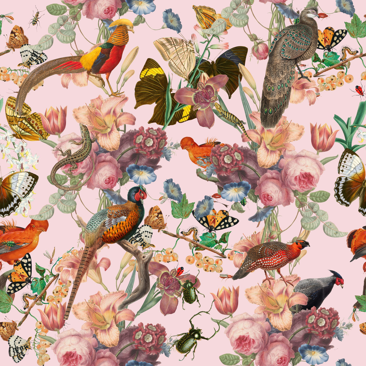 Divertirs Wall Mural in your room — zoomed