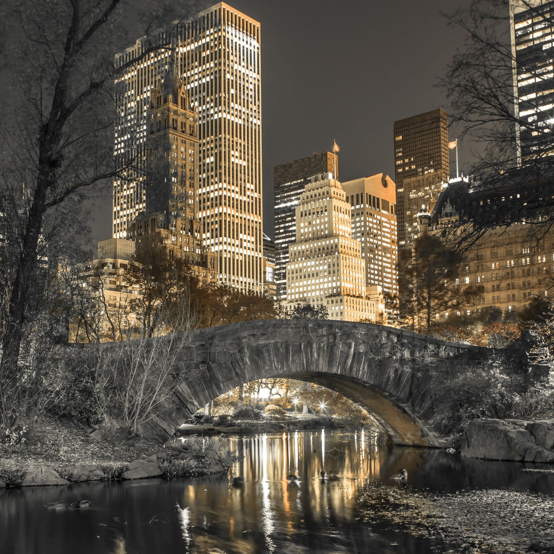 Evening in Central Park Wall Mural in your room — zoomed