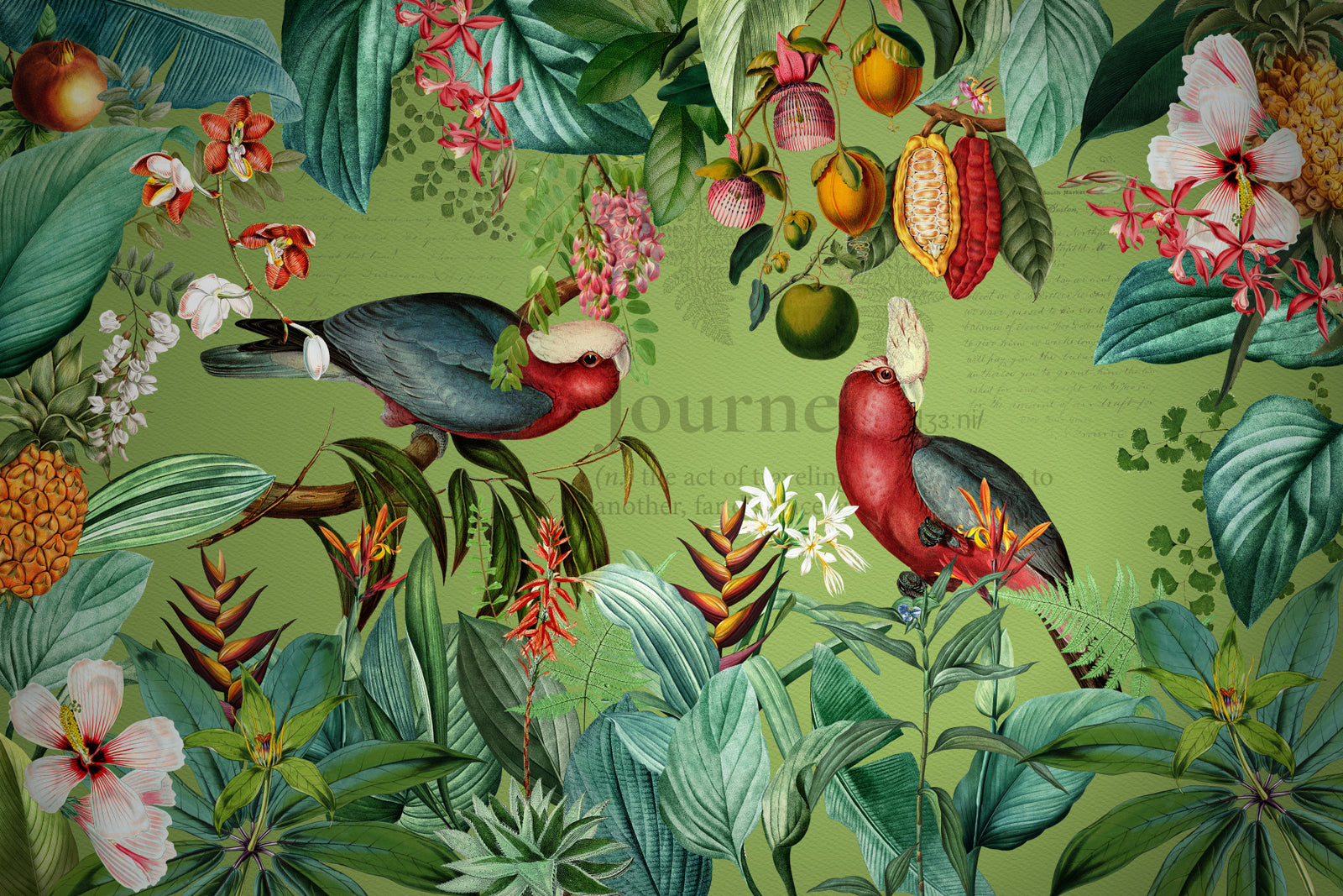Tropical Vintage Wildlife Journey Wall Mural