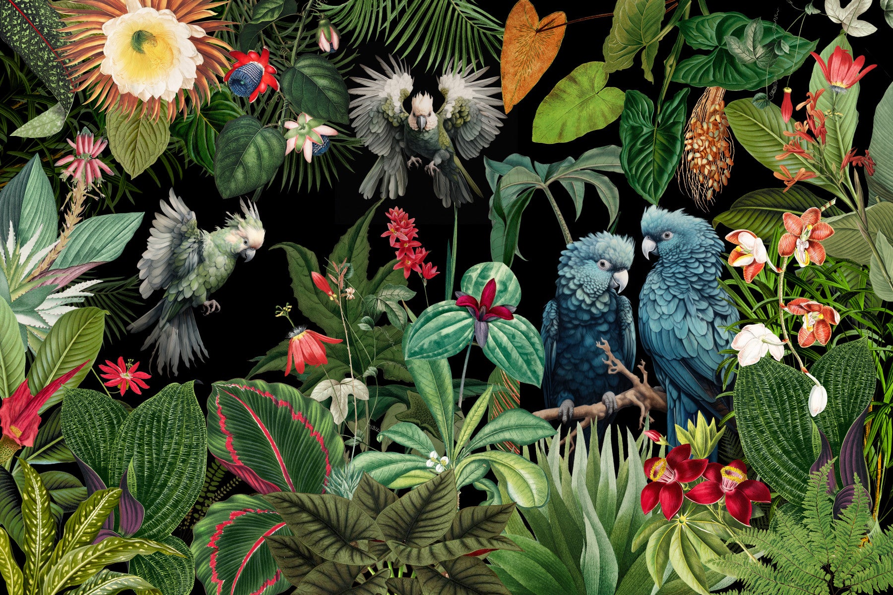 Tropical Vintage Paradise Collage Wall Mural