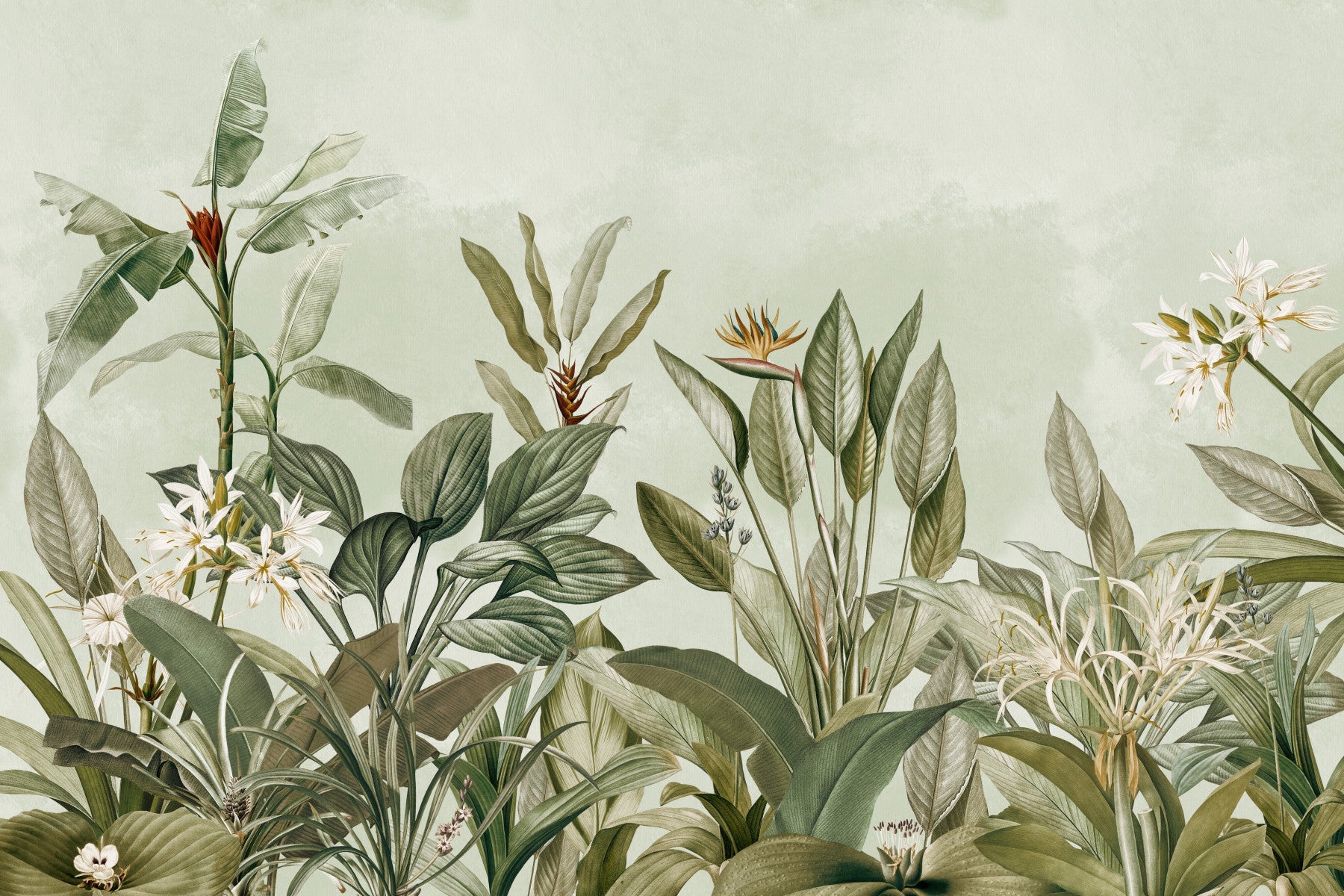 Serene Botanical Garden Wall Mural