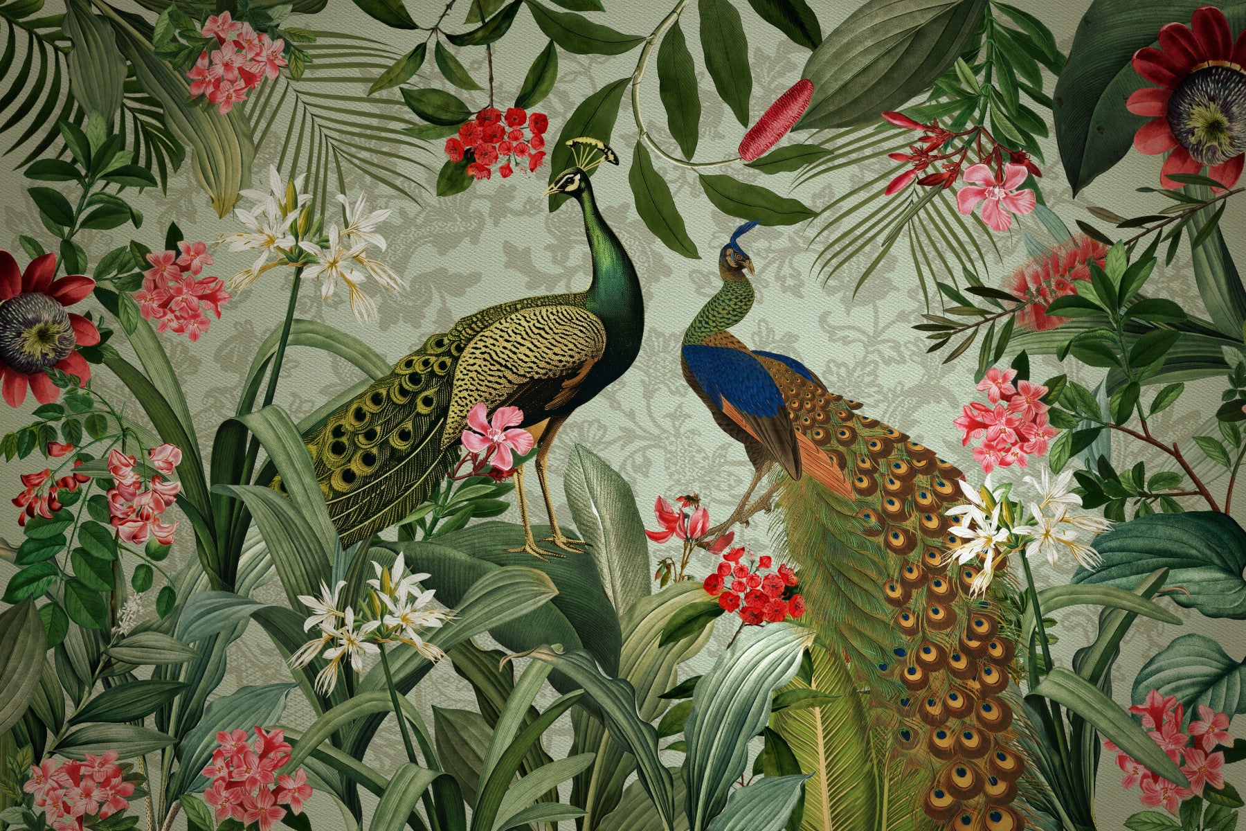 Botanical Peacock Mural Wall Mural