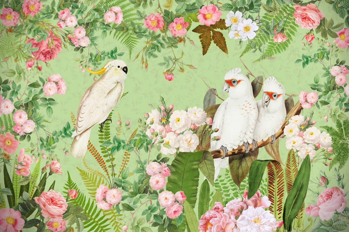 Whispering Roses & White Cockatoos Wall Mural in your room — zoomed