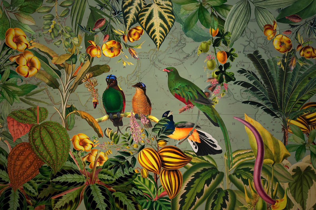 Tropical Explorers' Chart Wall Mural in your room — zoomed