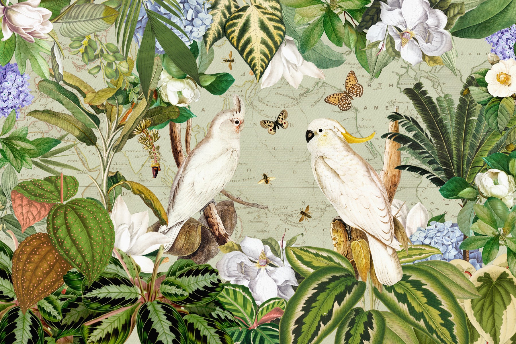 Botanical Explorers Wall Mural