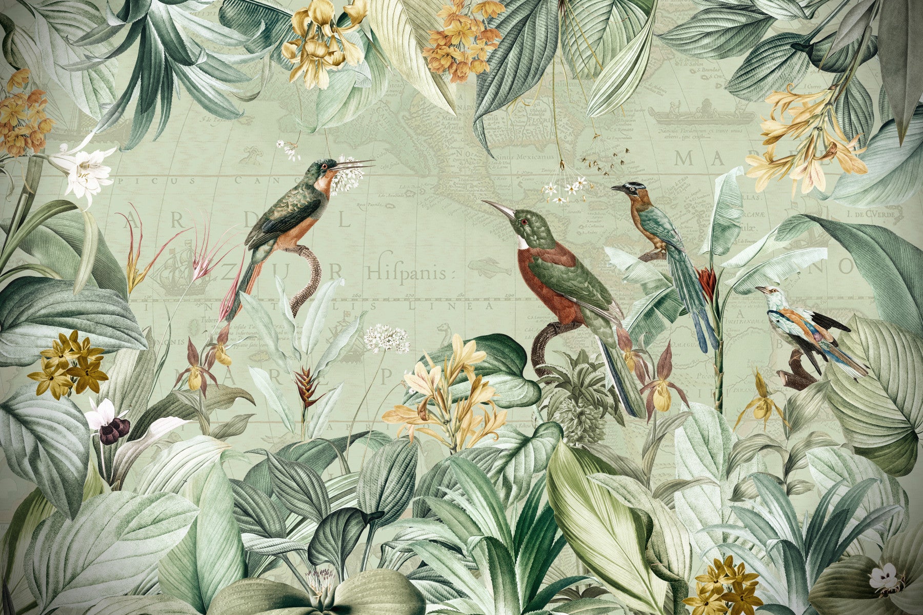 Vintage Voyage: Tropical Expedition Wall Mural
