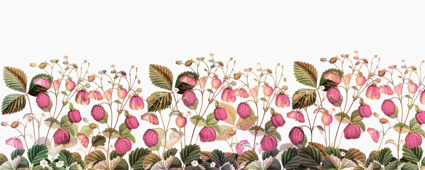 Strawberry Fields Forever Wall Mural