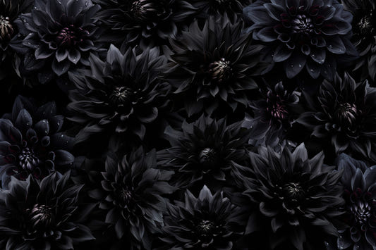 Midnight Bloom 1 Wall Mural