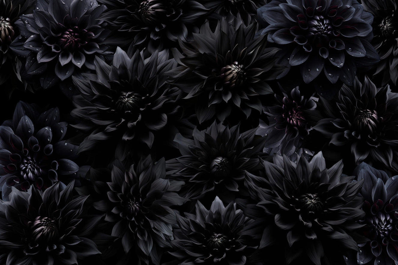 Midnight Bloom 1 Wall Mural