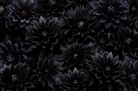 Midnight Bloom 1 Wall Mural