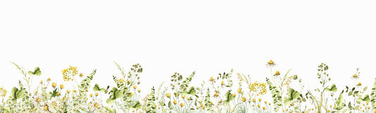 Summer Meadow Bloom Wall Mural