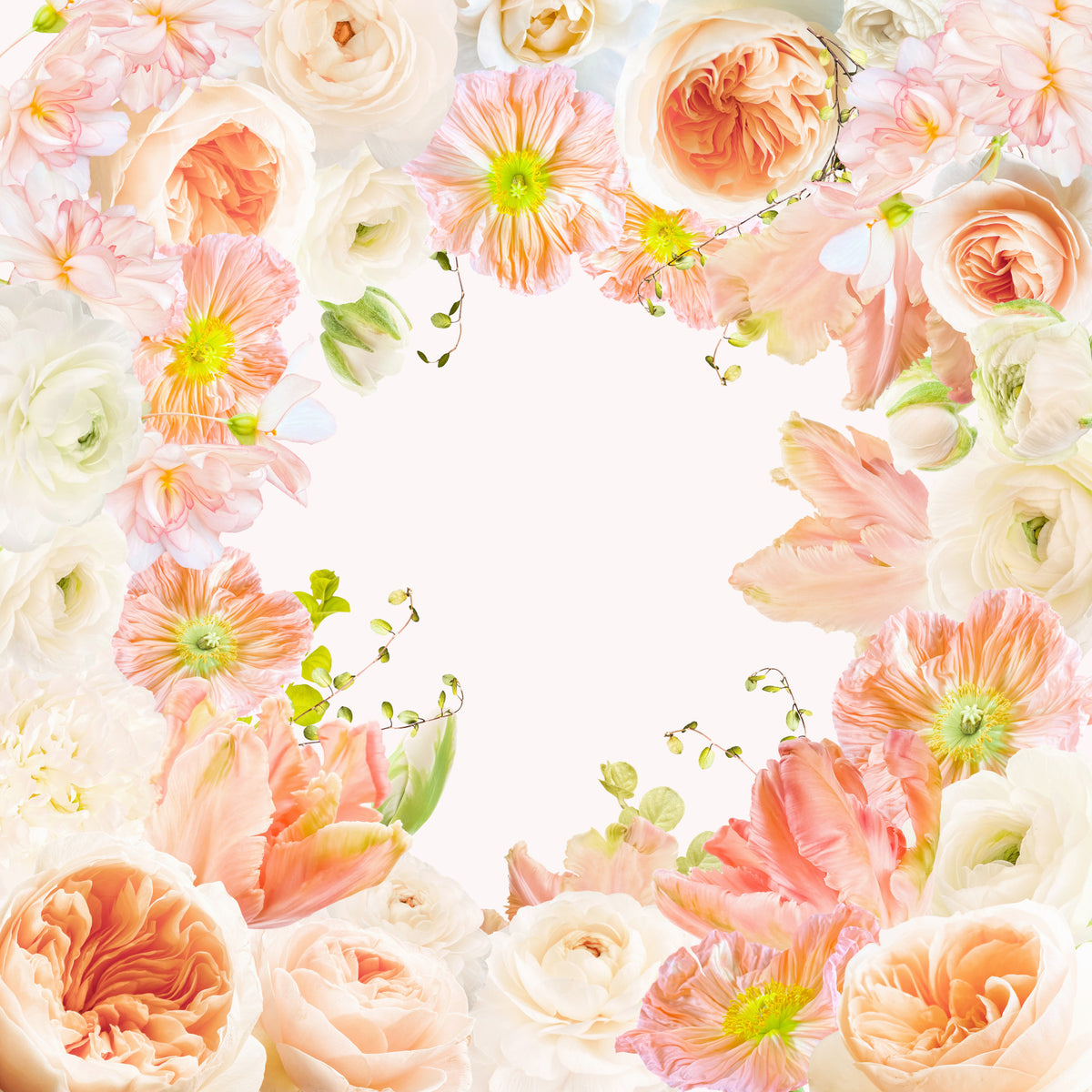 Pastel Paradise Wall Mural in your room