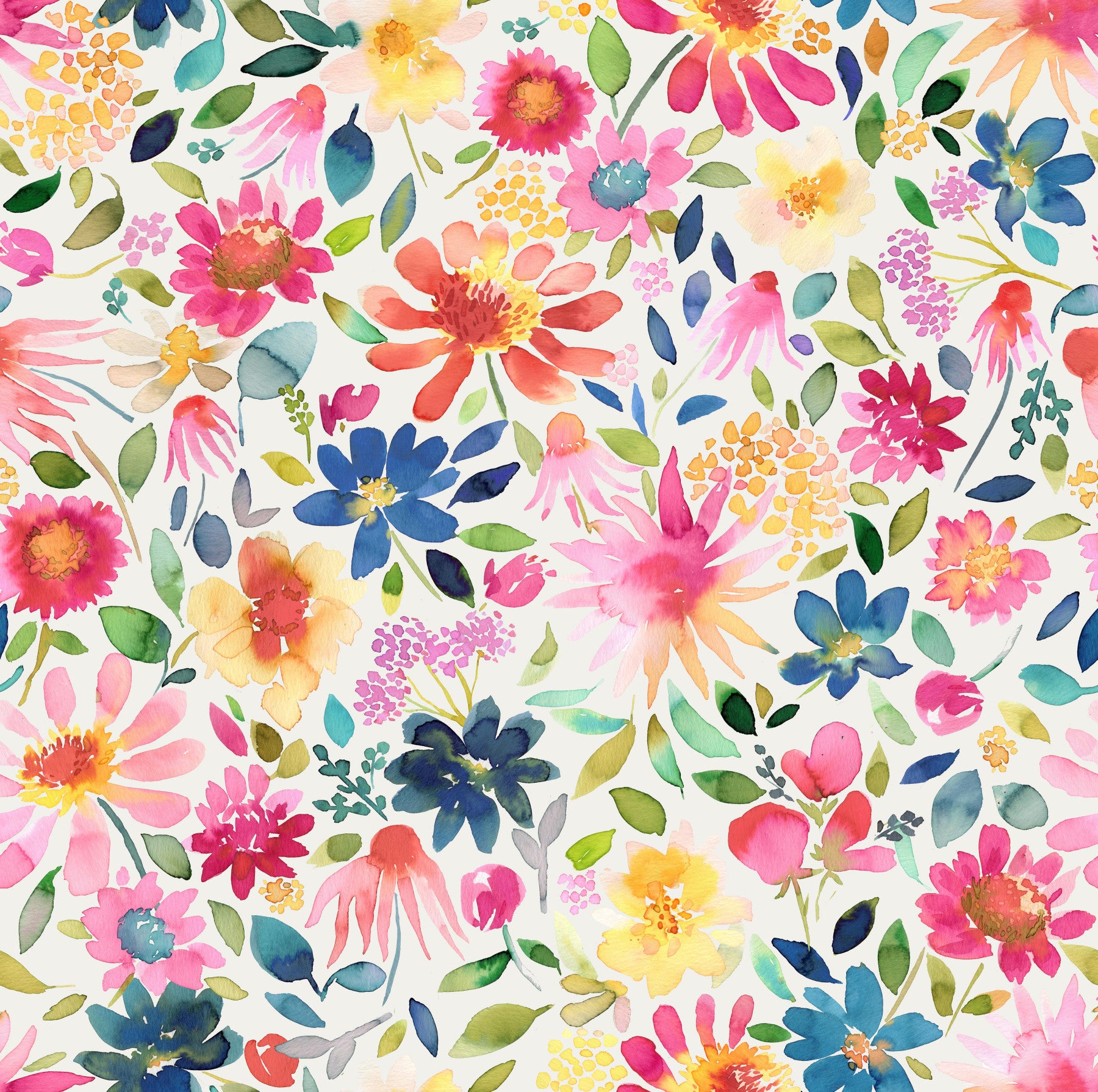 Spring Flowers Zinnias Garden Nature Fresh Wallpaper⁠
