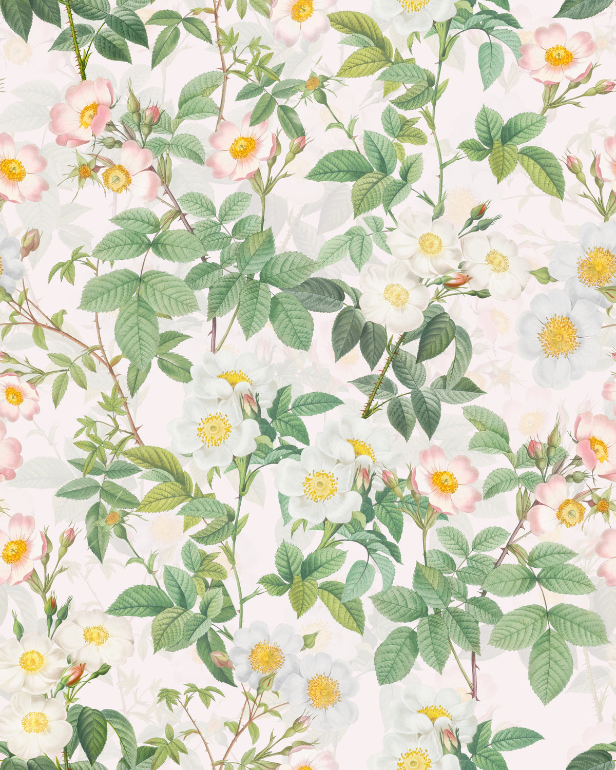 Rose Garden Reverie Wallpaper⁠ in your room — zoomed