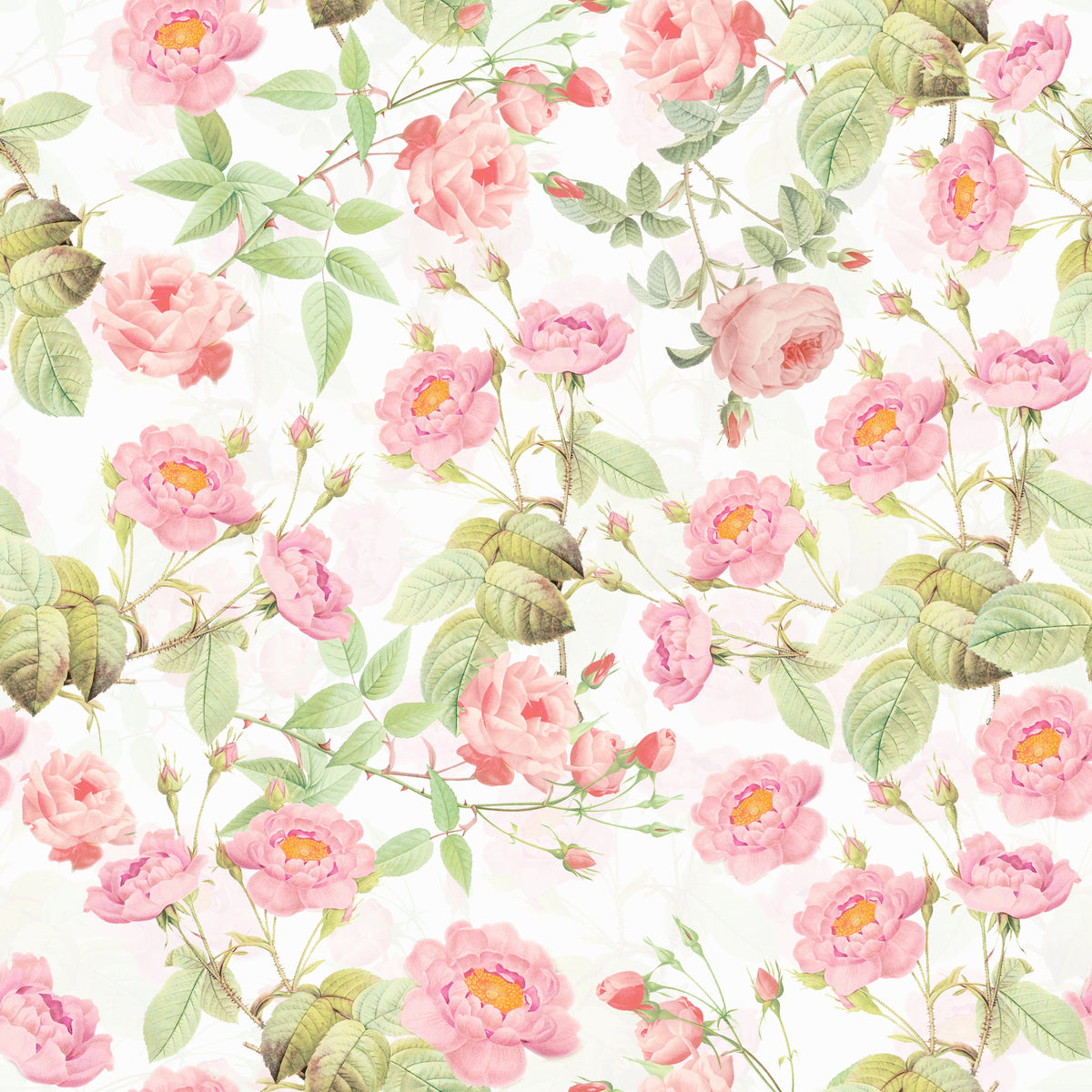 Blushing Roses Wallpaper Wallpaper⁠ in your room