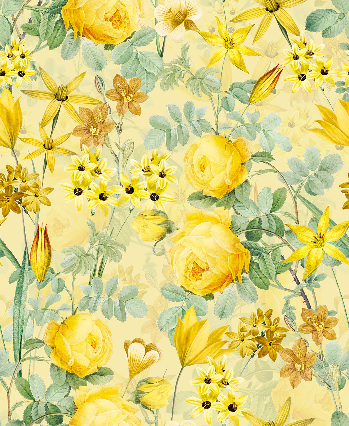 Golden Hour Rose Blooms Wallpaper⁠