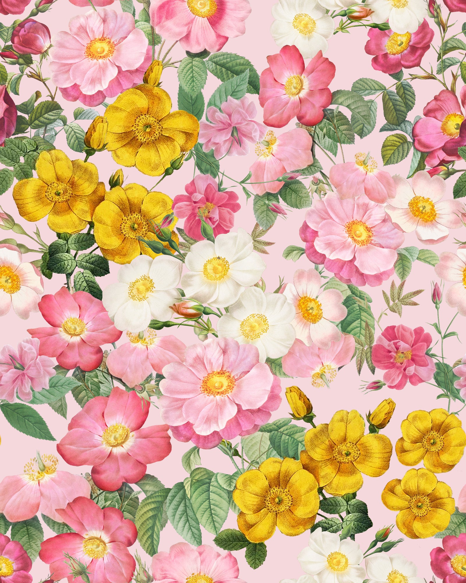 Romantic Rose Garden 1 Wallpaper⁠