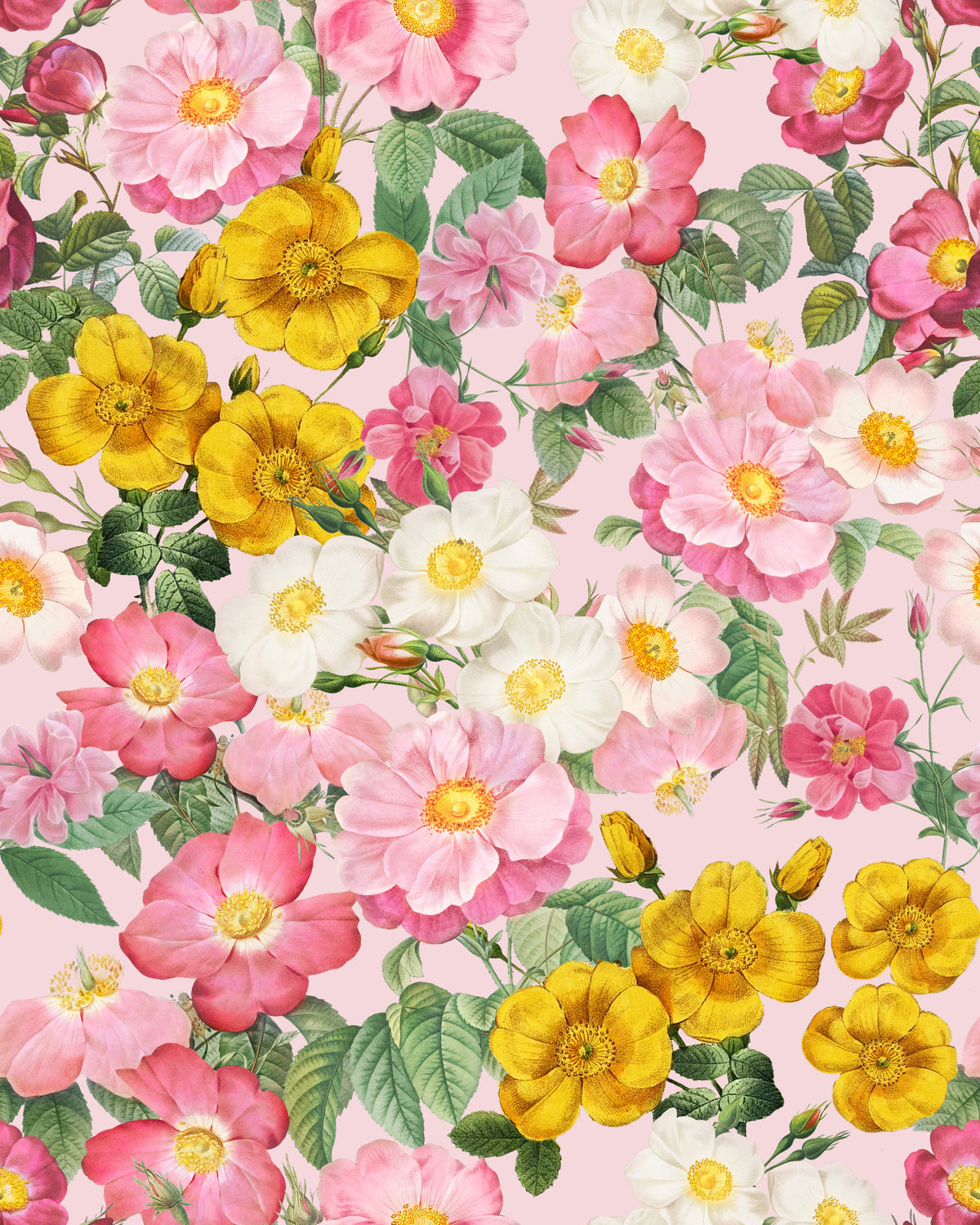 Romantic Rose Garden 1 Wallpaper⁠ in your room — zoomed