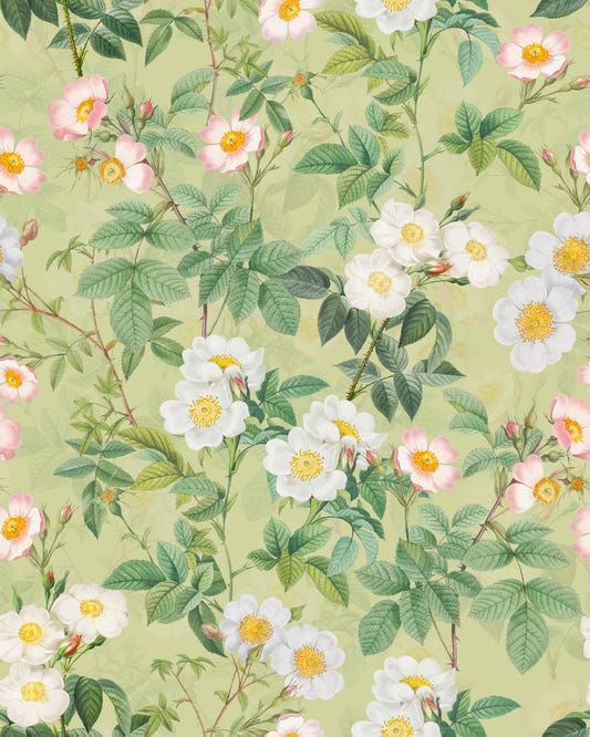 Vintage Rose Garden 3 Wallpaper⁠