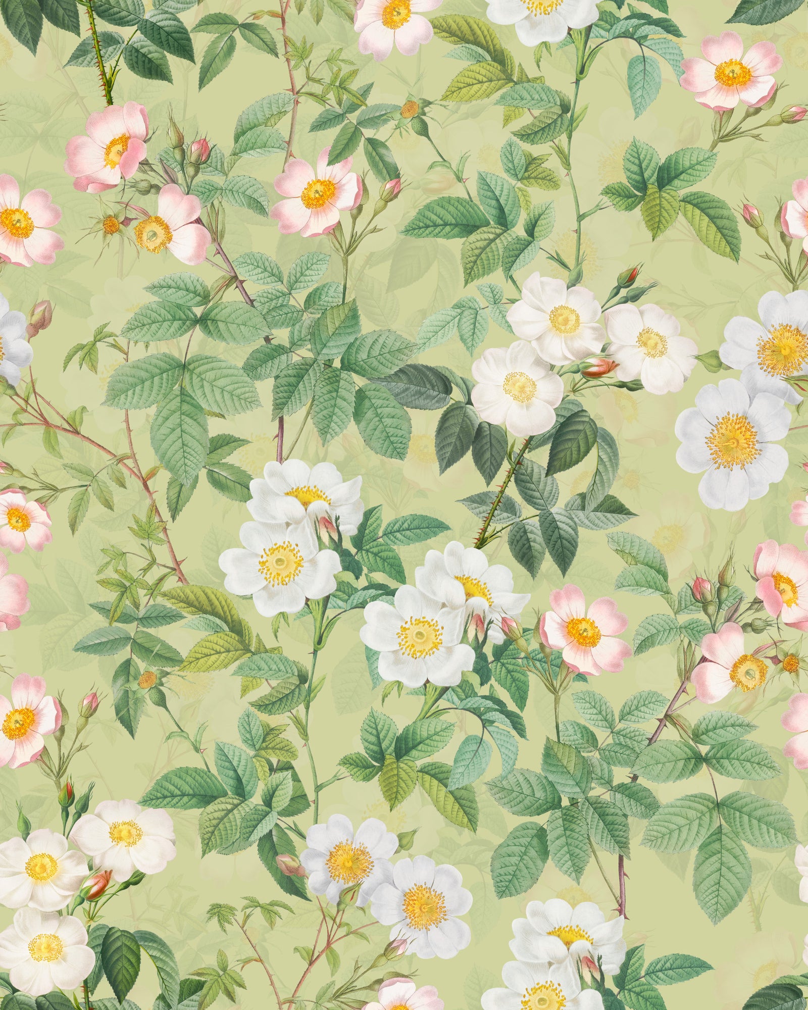 Vintage Rose Garden 3 Wallpaper⁠