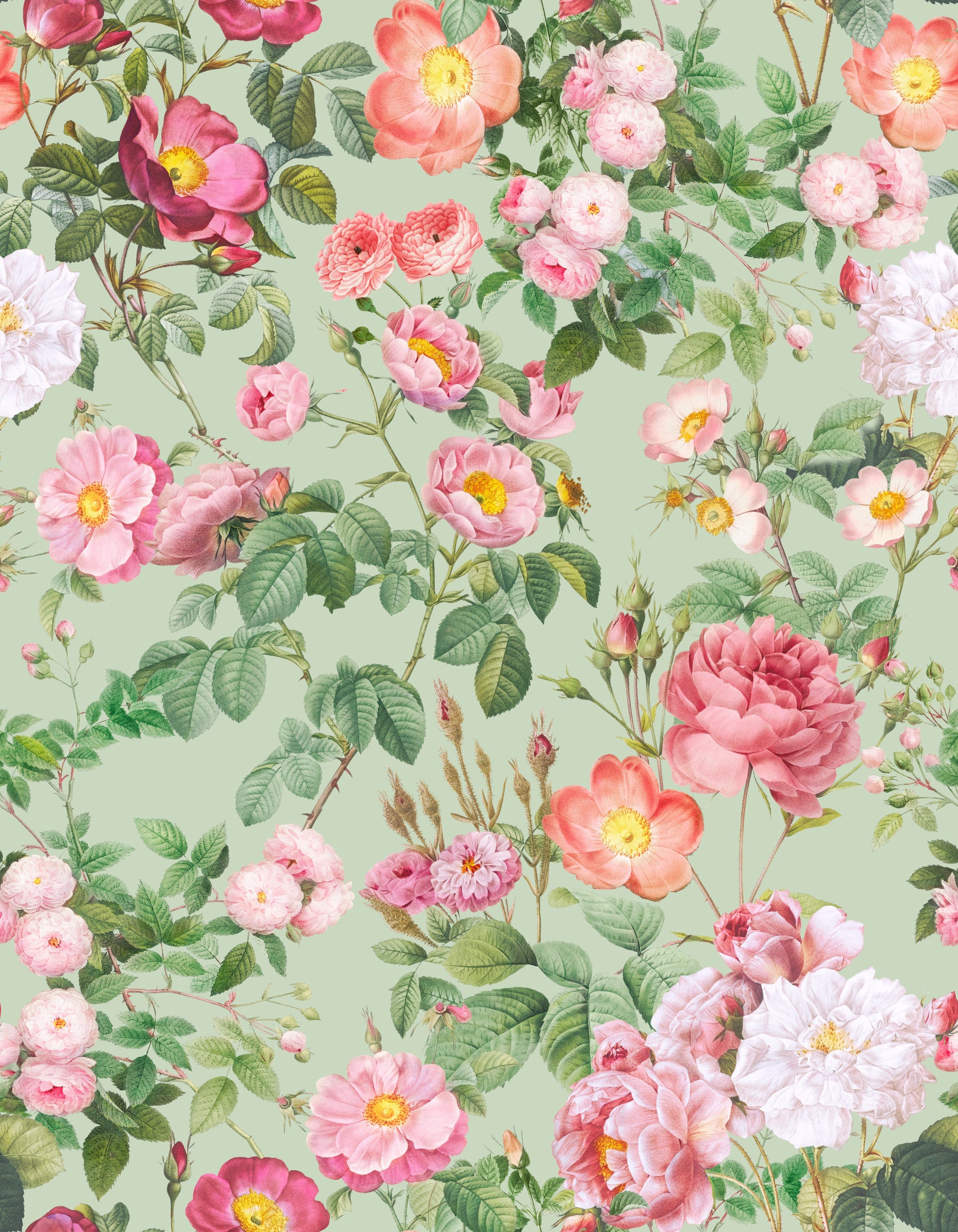 Pastel Paradise Roses Wallpaper⁠
